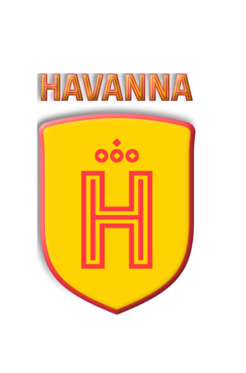 HAVANNA DGA DOCES DEL PLATA — cliente CodeForge Systems